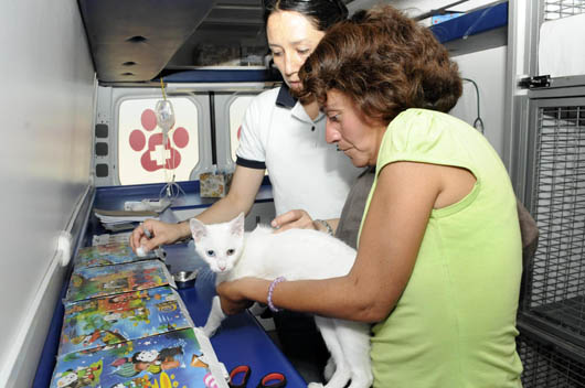 veterinaria_web1