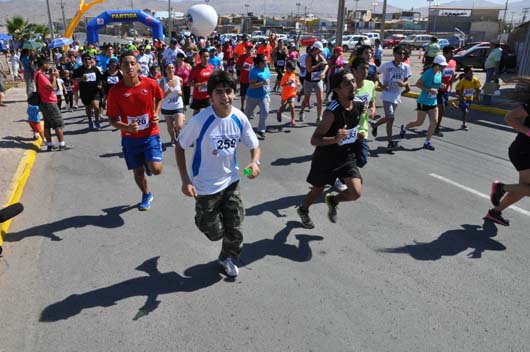 maraton web2