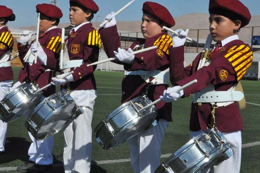 bandas web6