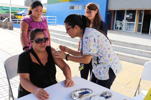 vacunacion web2