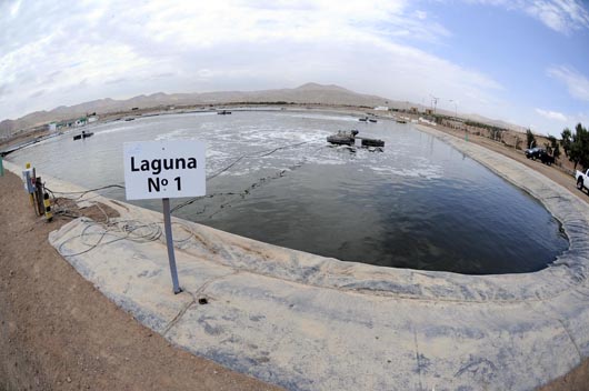 lagunas web5