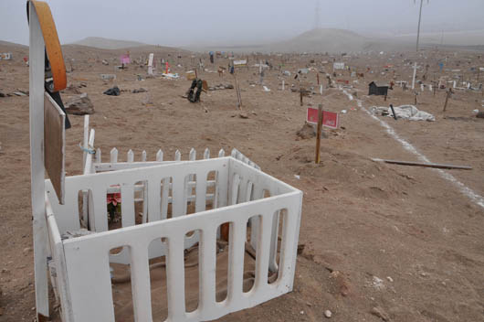 cementerio pet web2