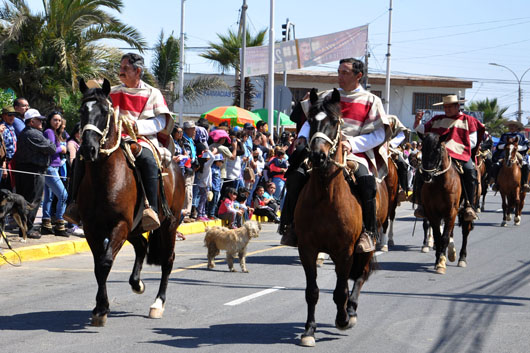 desfile18 web5